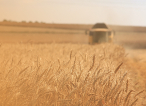 Аграрный бизнес